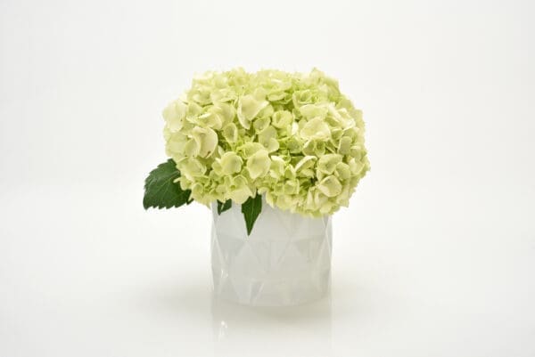 Sunset Large Clear Glass Votive - Image 3