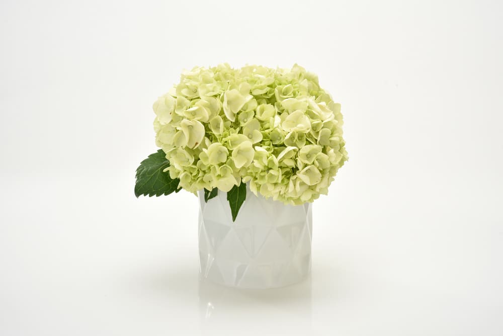 Sunset Large Clear Glass Votive - Image 3