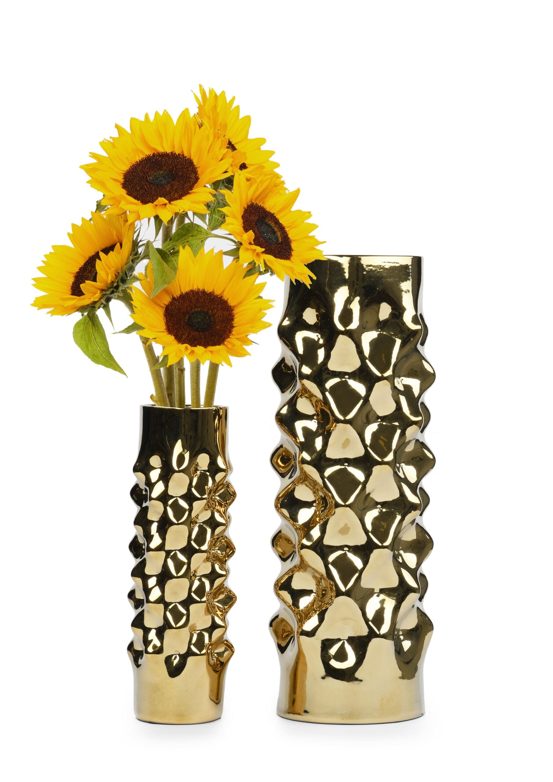 Malibu-gold-Sunflower.jpg