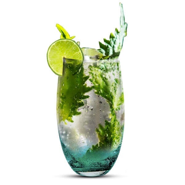 Nassau Aqua Highball 19oz Glass - Image 3