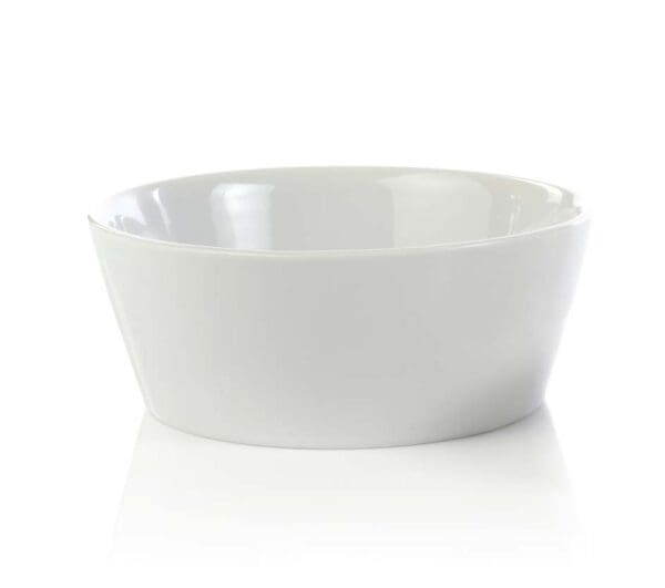 Sola Porcelain Bowl Large